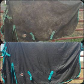 Horse Blankets, Horse Blanket Laundry, Horse Blanket Repair, Equestrian Gifts, Unbelts, FootHuggies, Equestrian Fashion, Blanket