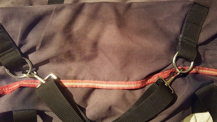 Ring and Snap Surcingle