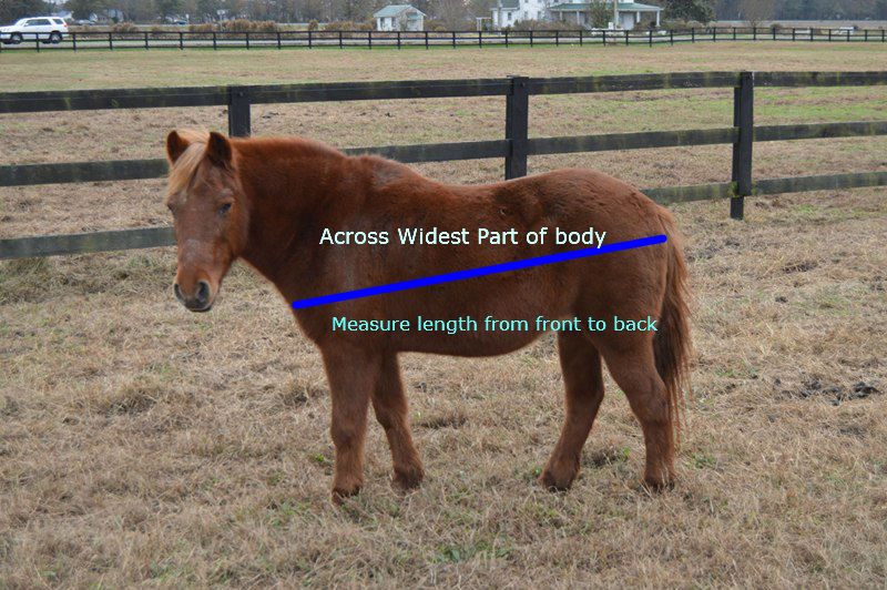 Laura's Blanket Repair