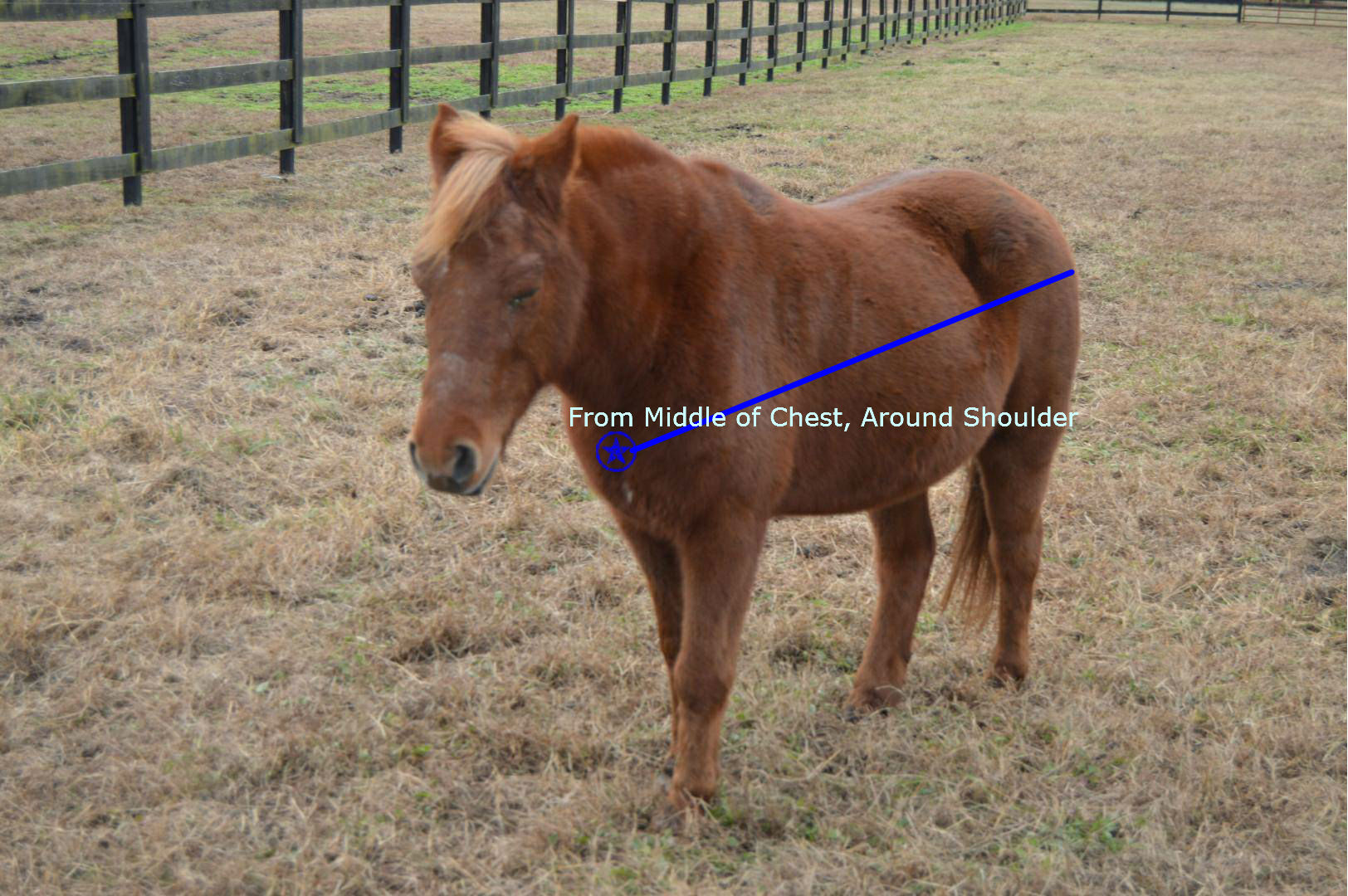 Laura's Blanket Repair