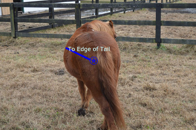 Laura's Blanket Repair