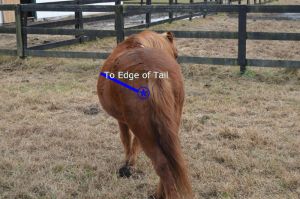 Laura's Blanket Repair