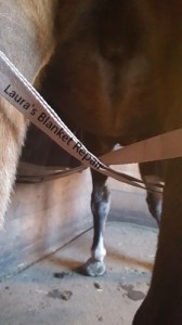 Laura's Blanket Repair