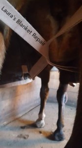 Laura's Blanket Repair