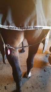 Laura's Blanket Repair